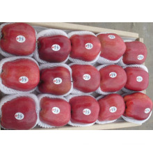 Hohe Qualität für den Export von frischen Huaniu Apple